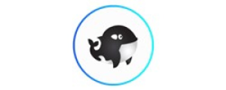 OrcaSmart Group Inc