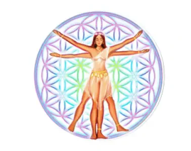 KC URBAN DEVELOPMENT SERVICES by Harbor & Associates